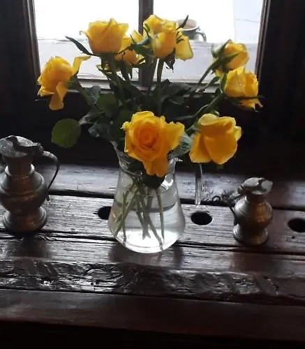 Готель Gemmi *